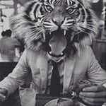 Profile Picture of Moisés Rosas (@moises__rosas_) on Instagram