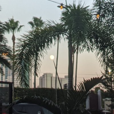 Profile Picture of Kim Dahlgren (@KimDahlgren2) on Twitter