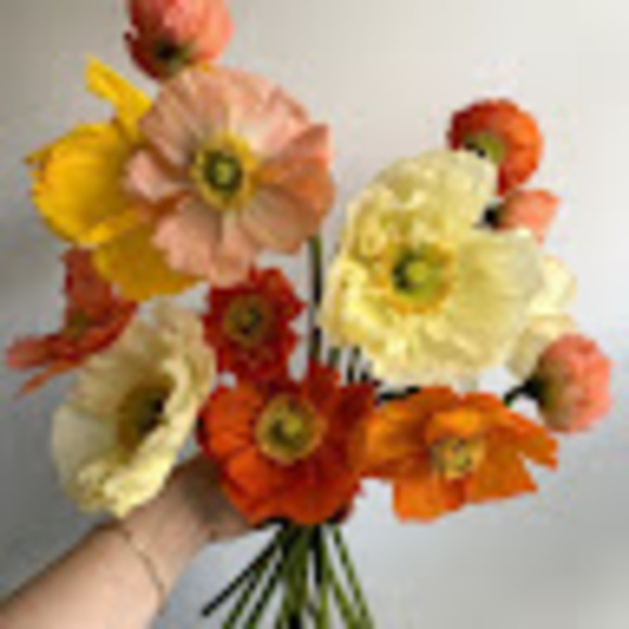 Profile Picture of Catherine Curley (@catherinecan2) on Poshmark