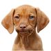 Profile Picture of Scott Huckabee (@scott.huckabee.718) on Facebook