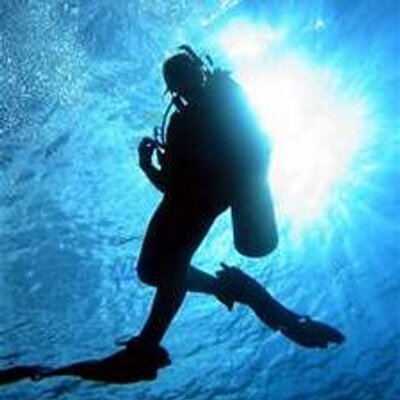 Profile Picture of Debie Isroff (@DebieIsroff) on Twitter
