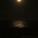 Profile Picture of Ryanne Yehl (@RyanneYehl) on Pinterest