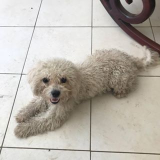 Profile Picture of Carlo Medrano (@Carlo-Medrano) on Facebook