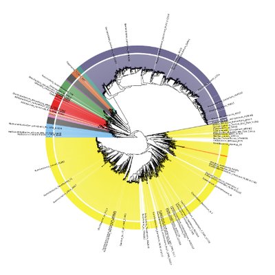 Mick Watson - Twitter Profile Picture of Mick Watson (@BioMickWatson) on Twitter