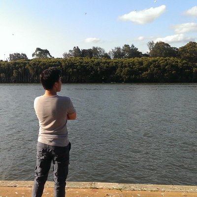 Profile Picture of Timothy Zheng (@timmyz_) on Twitter