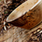 Profile Picture of Steven Byrne (@steven byrne) on Flickr