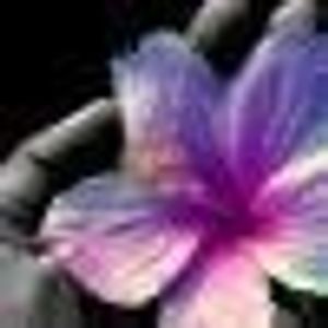 Profile Picture of Heike Bauer (@184952152) on Myspace