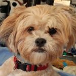 Profile Picture of William Pastorius (@wdp6987) on Instagram