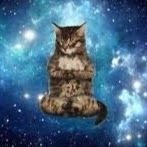 Profile Picture of TIMOTHY MCPHERSON (@20mcphet) on Pinterest