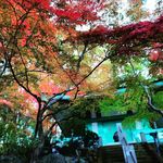 Profile Photo of 崇禅寺 @official (@souzenji_official) on Instagram