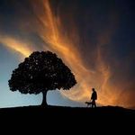 Profile Picture of emily marie medinger (@badassbisexual01) on Instagram