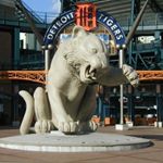 Profile Picture of Kyle Steger (@kylesteger50) on Instagram