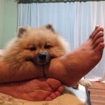 Profile Picture of Bodie Pulido (@bodiepulido) on Instagram