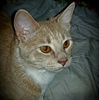 Profile Picture of Carlton Lay (@carlton.lay.1) on Facebook