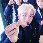 Profile Picture of Paper K (Jeonghan Trash) (@paper_joshua) on Instagram