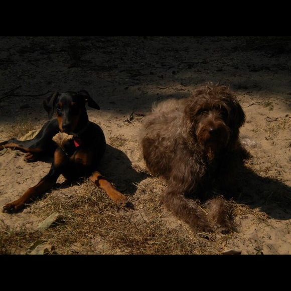 Profile Picture of Meg Davies (@meg00099) on Poshmark