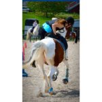 Laura Nilsen - Instagram Profile Picture of Laura Nilsen (@victoria_and_james_facts) on Instagram