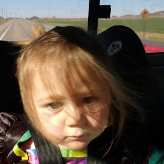 Profile Picture of Tammy Webb (@Tammy-Webb) on Facebook