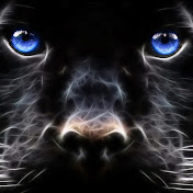 Profile Picture of Leonard Stefan (@laurentium92) on Youtube