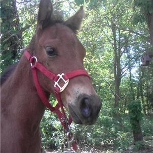 Profile Picture of George Hamblin (@george_43) on Myspace