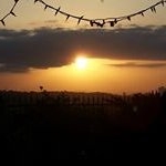 Profile Picture of Josh Alcaraz (@j.alcaraz89) on Instagram