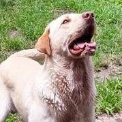 Profile Picture of Randy Wilkerson (@RandyWilkerso15) on Twitter