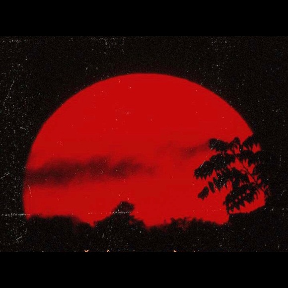 Profile Picture of Ryan Quattrocchi (@rynobones) on Poshmark