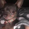 Profile Picture of myriamhebert0 (@myriamhebert0) on Tiktok