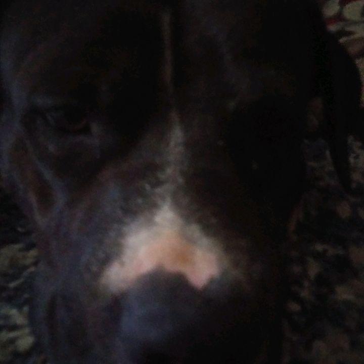 Profile Picture of Rachel H (@leilahuffman123) on Tiktok