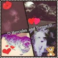 Profile Picture of Jasmine Whitley (@jasmine-whitley-4) on Quora