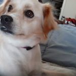 Profile Picture of John Hollandsworth (@gamesguycool) on Instagram