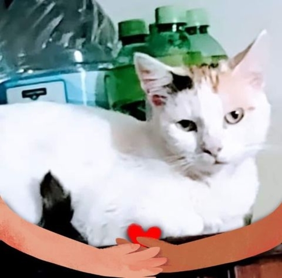 Profile Picture of Melinda Lemmond (@2sweet_kids) on Poshmark