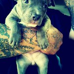 Profile Picture of Luke Bunge (@hirerhers) on Instagram