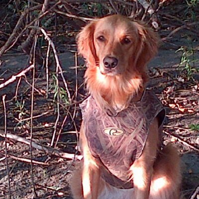 Profile Picture of Kyle Kraft (@KyleKraft2) on Twitter