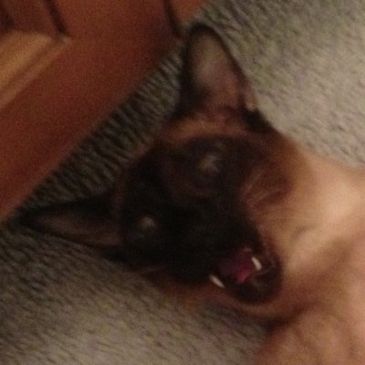 Profile Picture of Ben Saylor (@BenjaminB195) on Twitter
