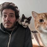 Mike Schuster - Instagram Profile Picture of Mike Schuster (@mcs212) on Instagram