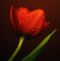 Profile Picture of Helena Pałuba (@Helena-Pałuba) on Facebook