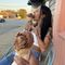 Profile Picture of Cameron Denine (@cameron.denine) on Facebook