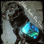 Profile Picture of Holden Scott's Dog Gear (@holdenscottsdoggear) on Instagram