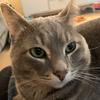Profile Picture of Jessica Shultz (@@jessiebear_1) on Tiktok