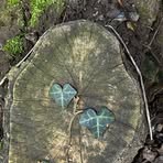 Profile Picture of Isabelle Harvest (@Isabelle-Harvest) on Facebook