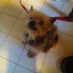 Profile Picture of kimmyruggles (@kimmyrugglesgizzzmo) on Instagram