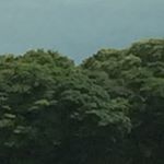 Profile Picture of Lace (@lacey.neil) on Instagram