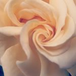 Profile Picture of Azim Hoseiny (@azim_hoseiny) on Instagram