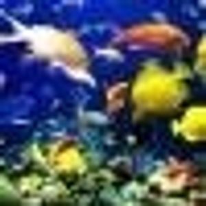 Profile Picture of Jehova Gregorio Celestino (@435944149) on Myspace