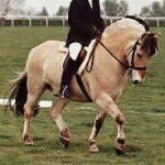 Anna  Hallbom - Instagram Profile Picture of Anna  Hallbom (@anna_hallbom) on Instagram