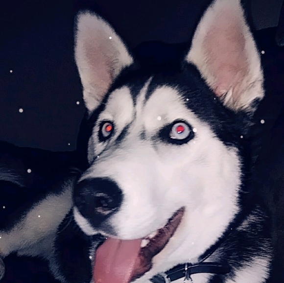 Heide Hernandez - Poshmark Profile Picture of Heide Hernandez (@heide13) on Poshmark