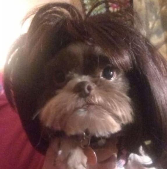 Profile Picture of Ronda Ferguson (@jerrysbaby) on Poshmark