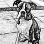 Profile Picture of Janet Blackburn (@blackburnjanet1955) on Instagram