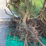 Profile Picture of Jason Hoerr (@jasonhoerr) on Instagram